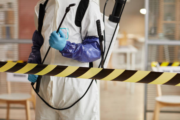 Professional Odor Removal technician working in Drake, CO